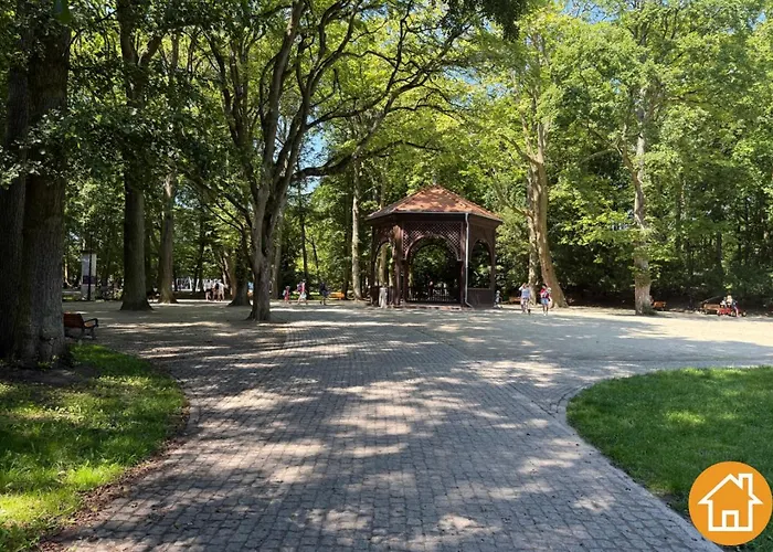 Mistral - Visitopl * سفينويتشي