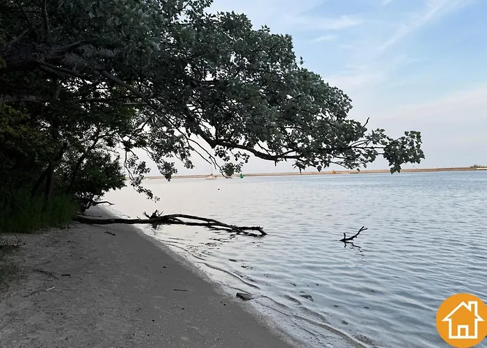 Mistral - Visitopl سفينويتشي